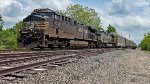 NS 4354 leads 11N.